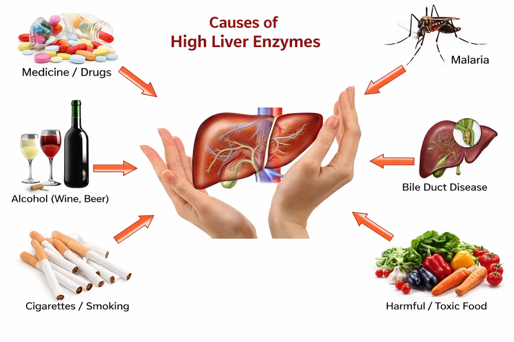 What Level of GGT Is Dangerous